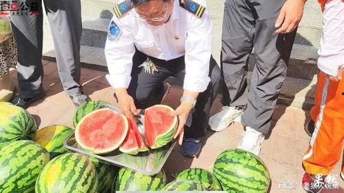 盐山网红吃瓜事件视频,一场网络狂欢背后的真相揭秘  第2张