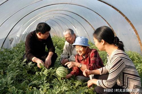 西藏扎西枫丹娱乐吃瓜,吃瓜群众眼中的神秘娱乐王国  第2张