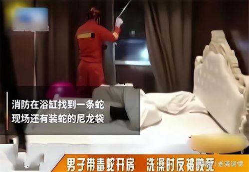 胁迫2在线观看,在线揭秘惊悚悬疑背后的真相  第1张