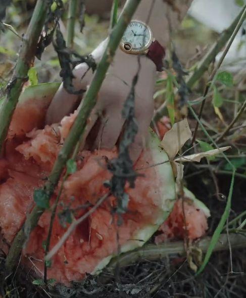 网红小鱼海棠吃瓜 第2张 网红小鱼海棠吃瓜 第2张